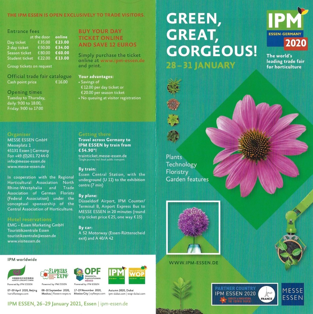 Flyer IPM 2020