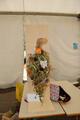 20261013-img_3535