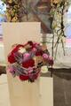 20261013-img_3543