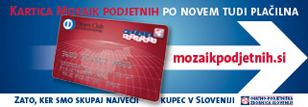 Mozaik podjetnih