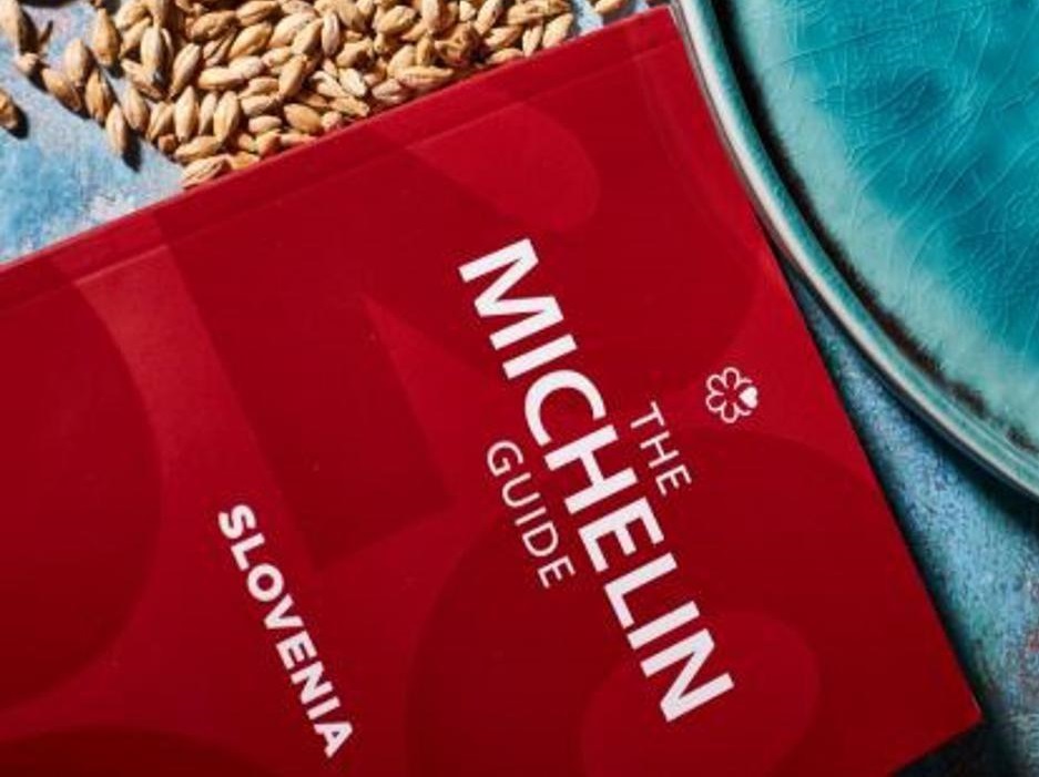 michelin vodnik nasl univerzalna 18062024