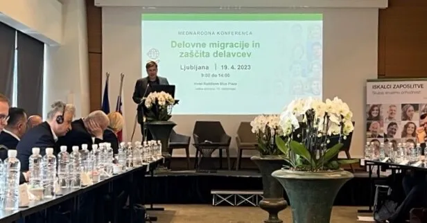 DELOVNE MIGRACIJE