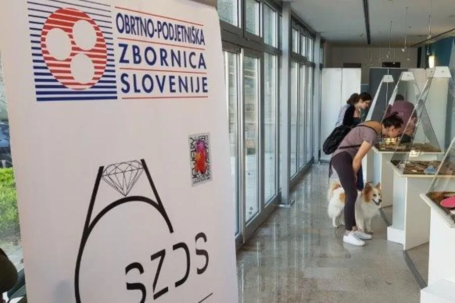 Strokovno srečanje
