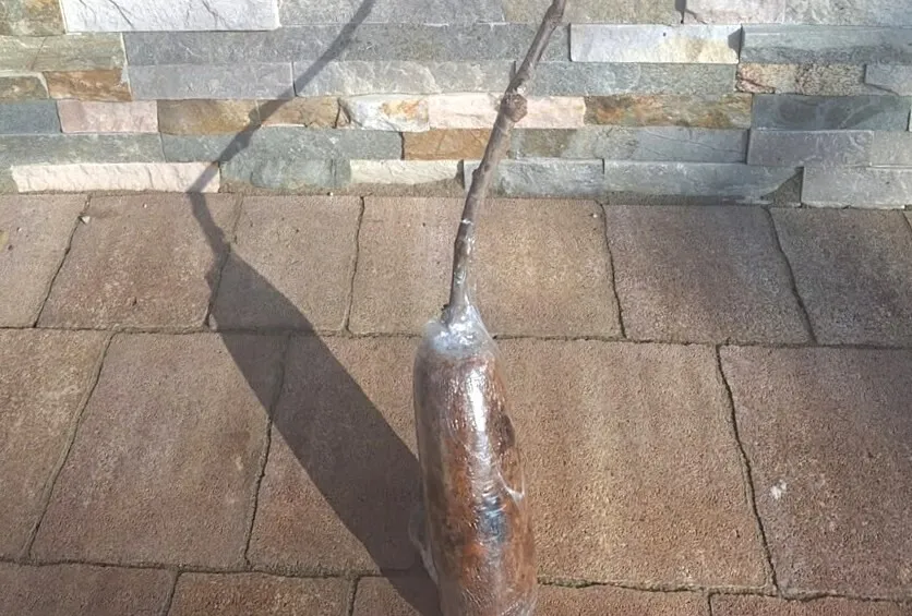 CVETLIČARJI IN VRTNARJI