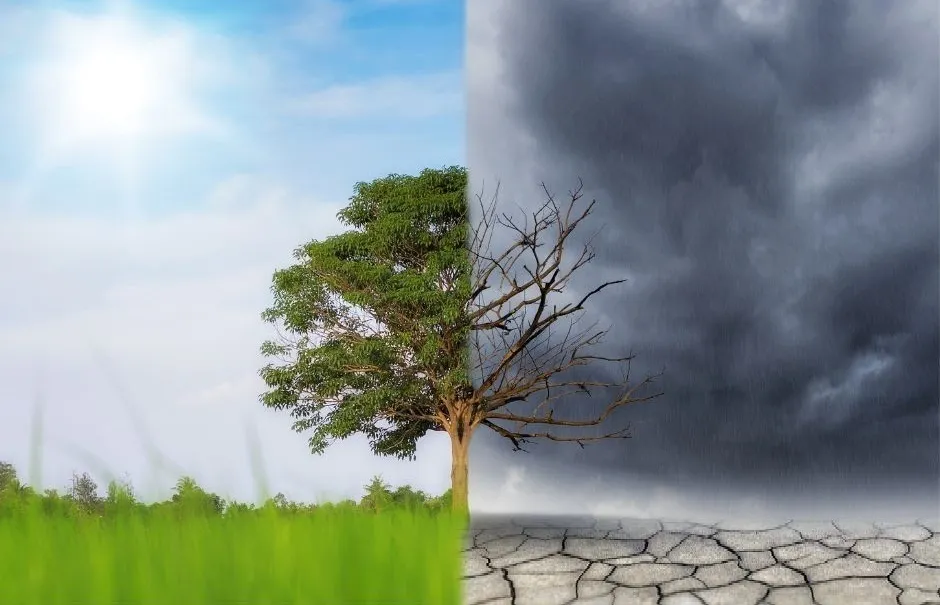 PROJEKT CLIMASAFE